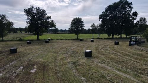 DJI_2994.JPG